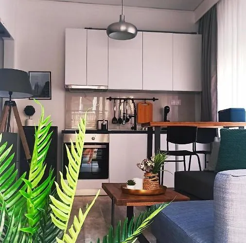 Down Town Luxurious Apartments