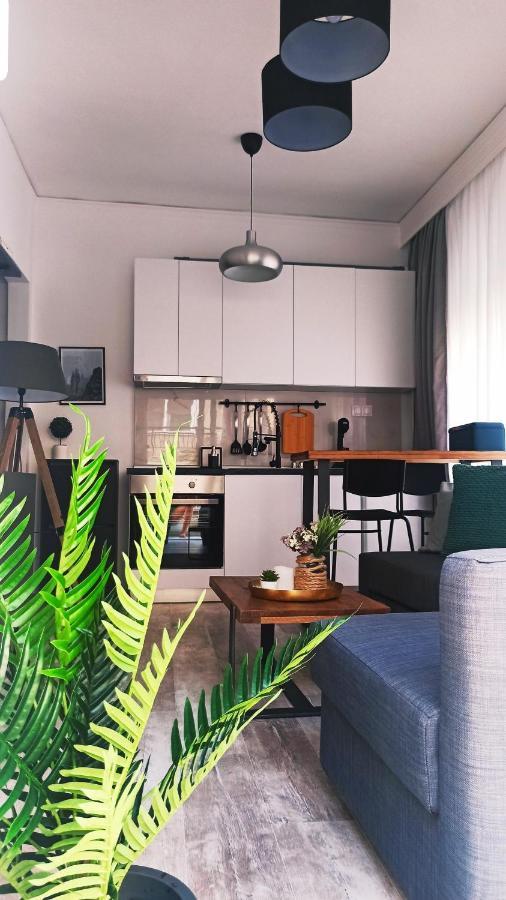Apartment Down Town Luxurious